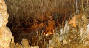 Alliant richesse géologiques et art pariétale les grottes de cougnac sont parmi les rares grottes contenant des dessins préhistoriques encore ouvertes au public 