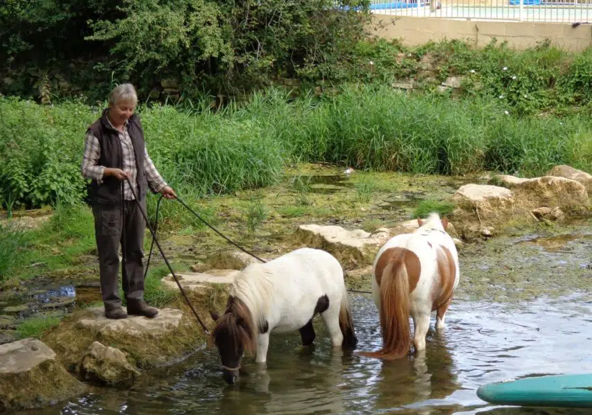Tous les mardis matin en juillet et août, Patricia vous proposera des ballades en poney sur les beaux chemins qui bordent le Douzou en Dordogne Périgord Noir