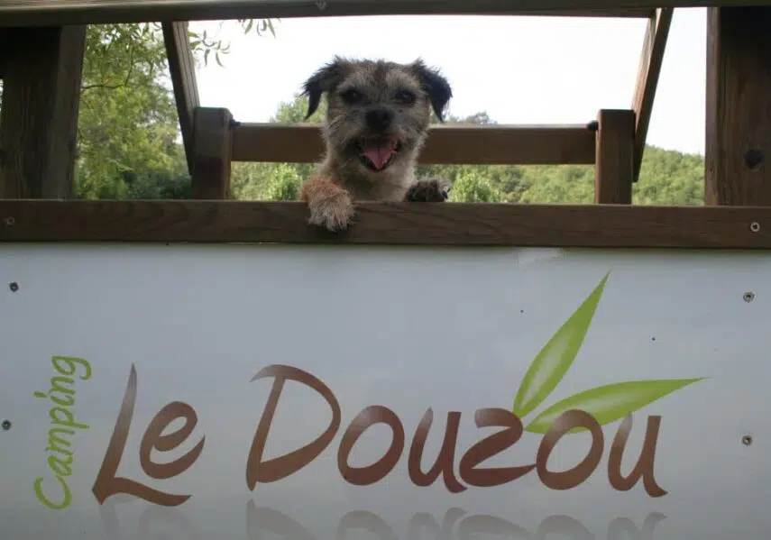 Au camping 3 étoiles le Douzou en Dordogne Périgord Noir les animaux sont admis comme nos amis les chiens et les chats
