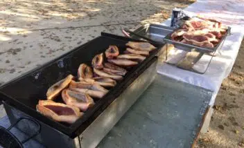 soiree-repas-magrets-canards-camping-dordogne-perigord-noir