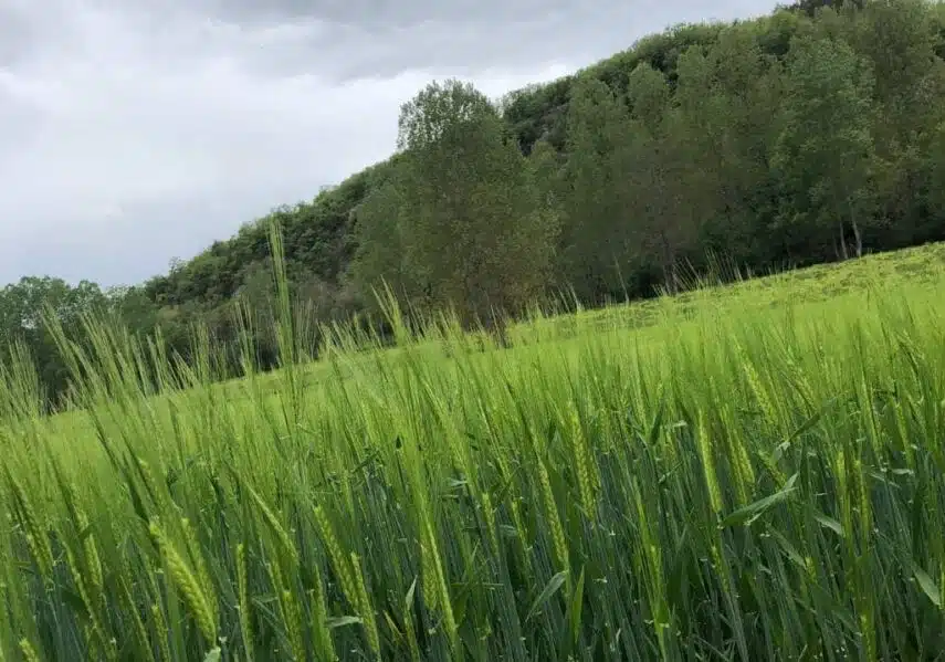 camping nature dordogne