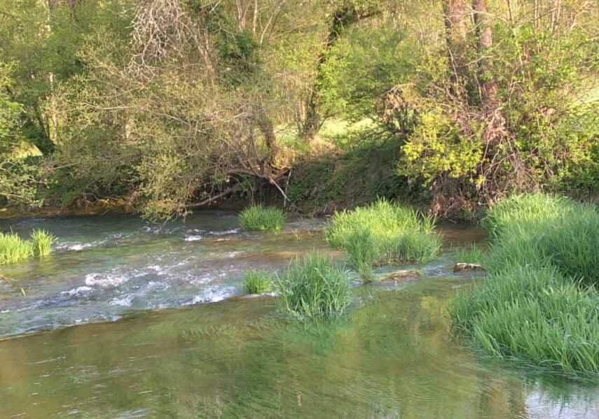 rivière le céou camping dordogne