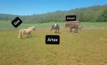 animation-poneys-camping-proche-sarlat